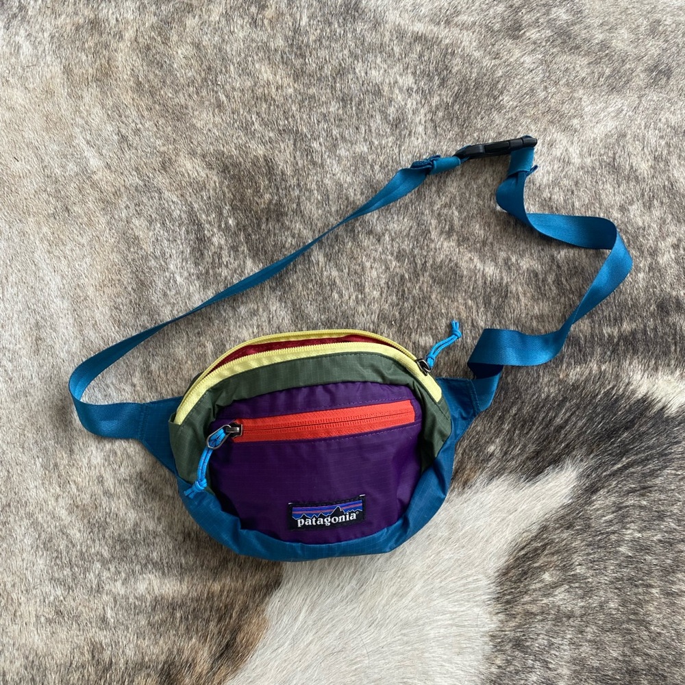 Patagonia Fanny pack